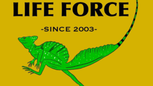 福島県の爬虫類ショップLife Force（ライフ フォース）