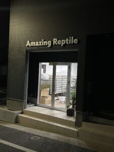 福岡県の爬虫類ショップAmazing Reptile